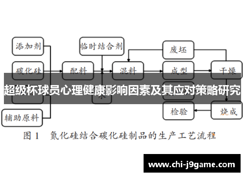 超级杯球员心理健康影响因素及其应对策略研究 超级杯球员心理健康影响因素及其应对策略研究
